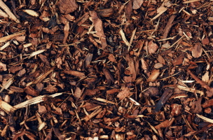 Rindenmulch